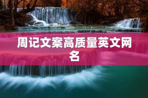 周记文案高质量英文网名