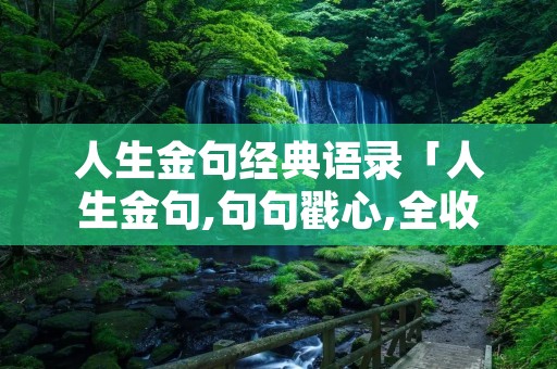 人生金句经典语录「人生金句,句句戳心,全收」