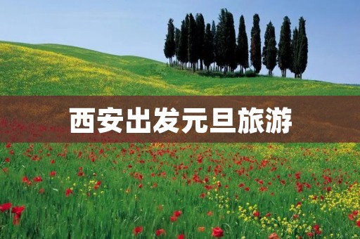 西安出发元旦旅游