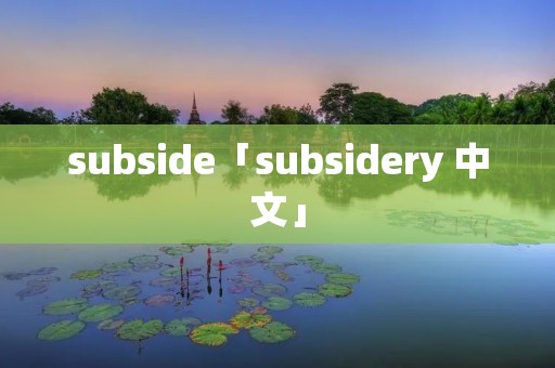 subside「subsidery 中文」