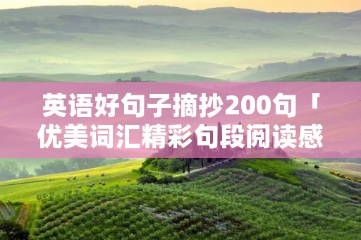 英语好句子摘抄200句「优美词汇精彩句段阅读感想」
