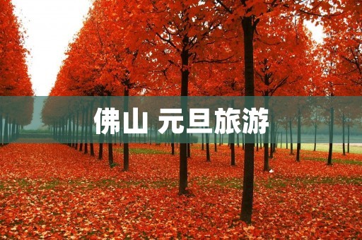佛山 元旦旅游