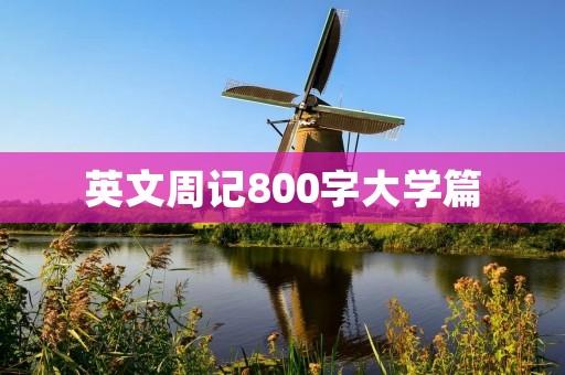 英文周记800字大学篇