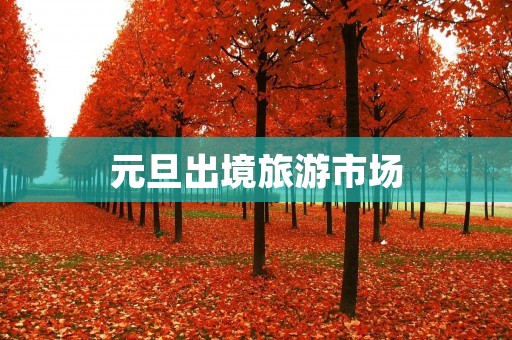 元旦出境旅游市场