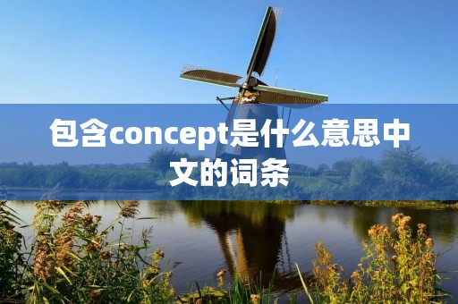 包含concept是什么意思中文的词条