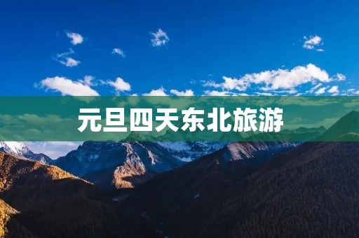 元旦四天东北旅游