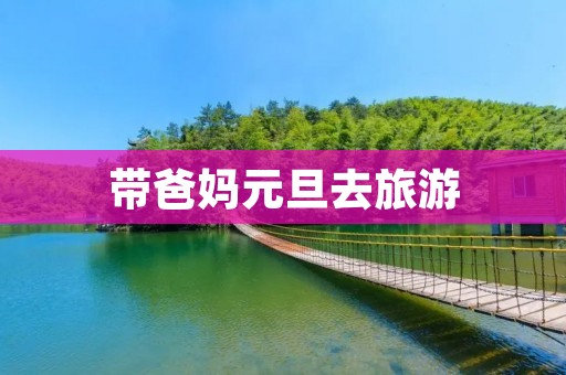 带爸妈元旦去旅游
