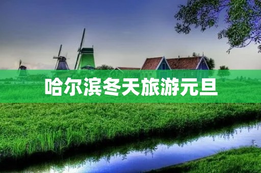 哈尔滨冬天旅游元旦