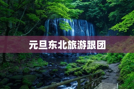 元旦东北旅游跟团
