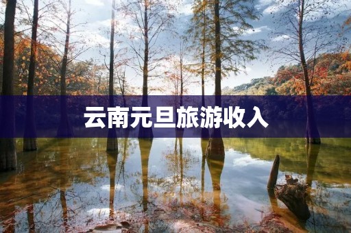 云南元旦旅游收入