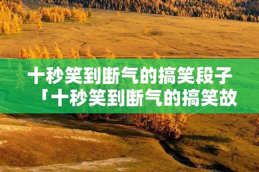 十秒笑到断气的搞笑段子「十秒笑到断气的搞笑故事」