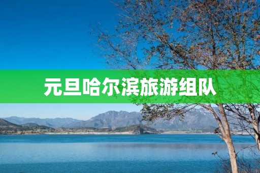 元旦哈尔滨旅游组队