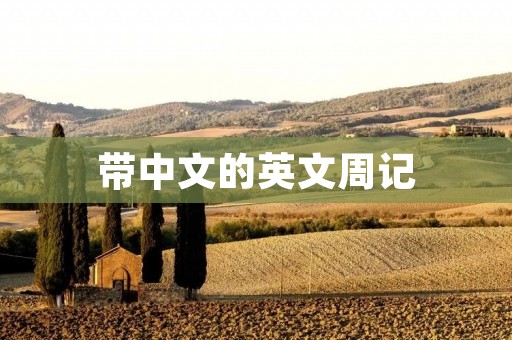 带中文的英文周记