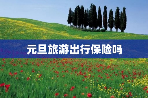 元旦旅游出行保险吗