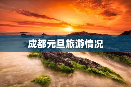 成都元旦旅游情况