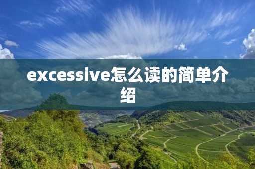 excessive怎么读的简单介绍
