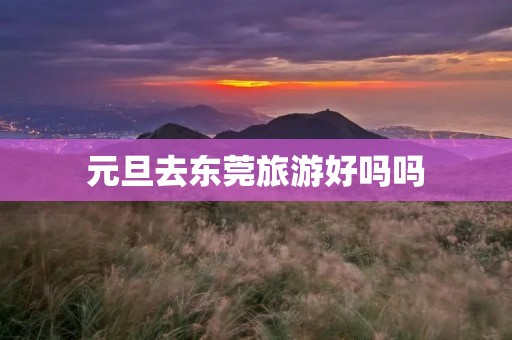 元旦去东莞旅游好吗吗