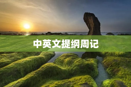 中英文提纲周记