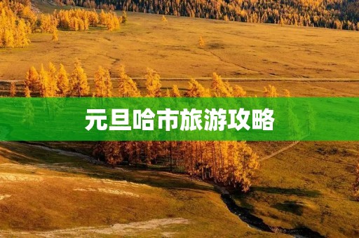 元旦哈市旅游攻略