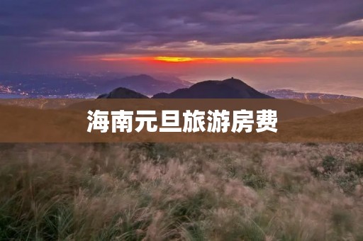 海南元旦旅游房费
