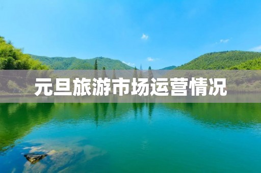 元旦旅游市场运营情况