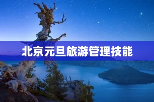北京元旦旅游管理技能