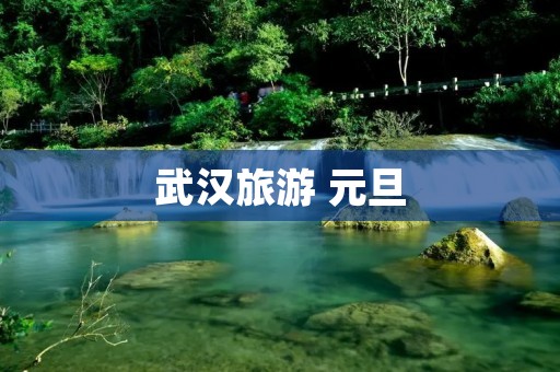 武汉旅游 元旦
