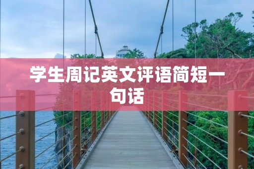 学生周记英文评语简短一句话