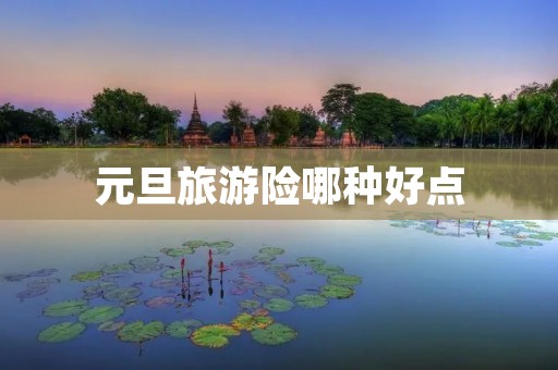 元旦旅游险哪种好点