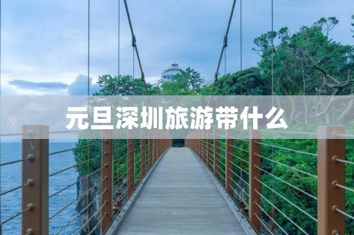 元旦深圳旅游带什么 元旦深圳旅游带什么