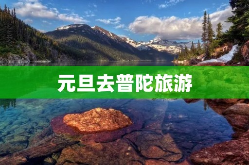 元旦去普陀旅游