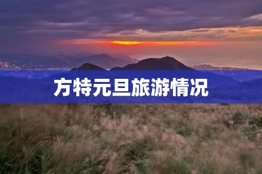 方特元旦旅游情况