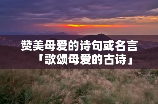 赞美母爱的诗句或名言「歌颂母爱的古诗」