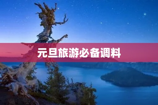 元旦旅游必备调料