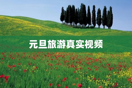 元旦旅游真实视频