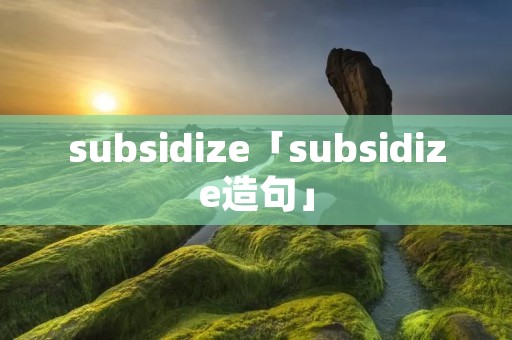 subsidize「subsidize造句」