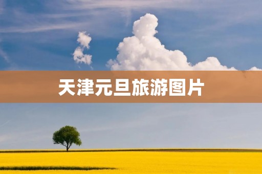 天津元旦旅游图片