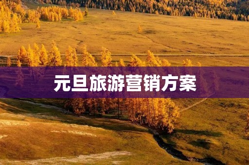 元旦旅游营销方案 元旦旅游营销方案