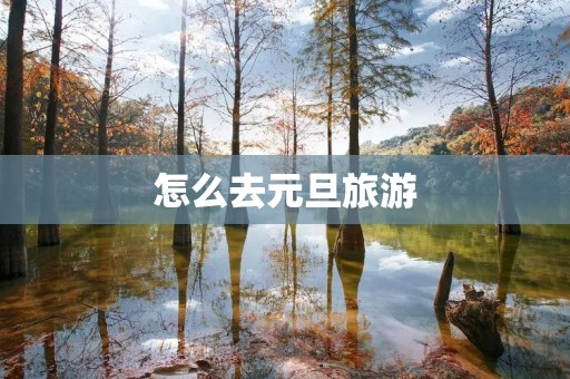 怎么去元旦旅游