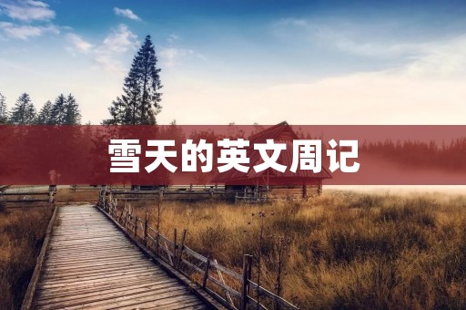 雪天的英文周记