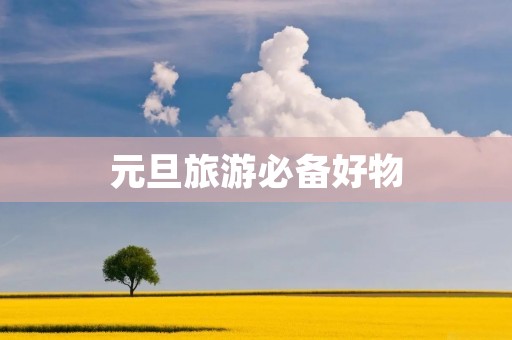 元旦旅游必备好物