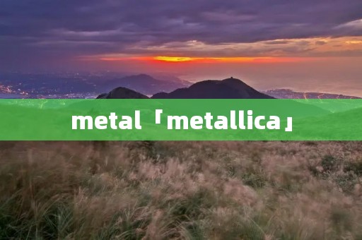 metal「metallica」