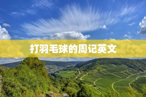 打羽毛球的周记英文