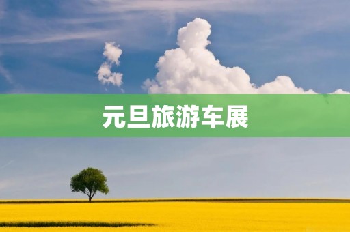 元旦旅游车展