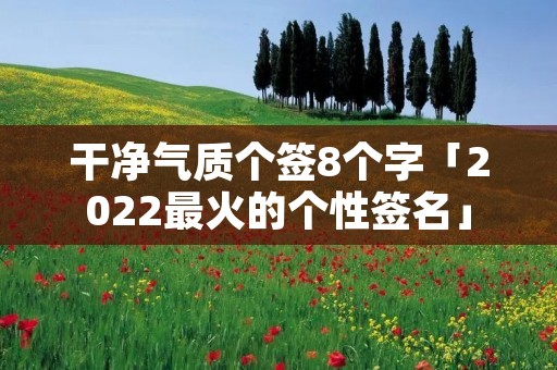 干净气质个签8个字「2022最火的个性签名」