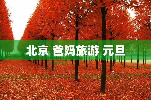 北京 爸妈旅游 元旦