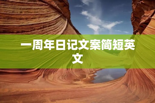 一周年日记文案简短英文