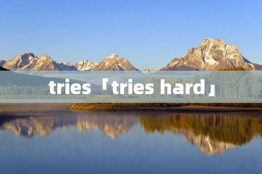 tries「tries hard」 tries「tries hard」