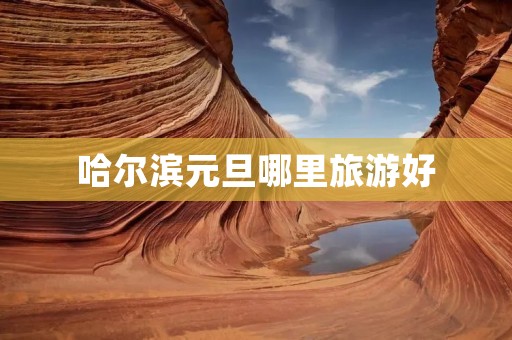 哈尔滨元旦哪里旅游好
