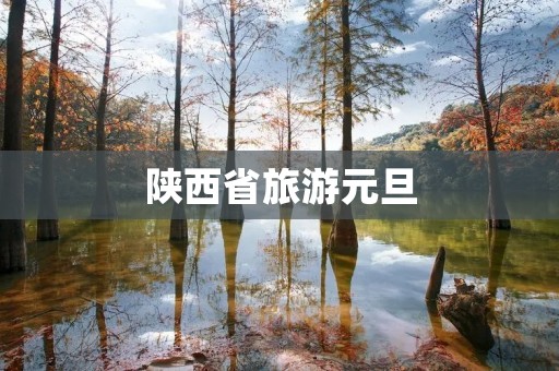 陕西省旅游元旦